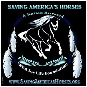 WFLF's Saving America's Horses